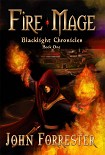 Читать книгу Fire Mage