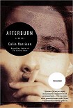 Читать книгу Afterburn