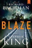 Читать книгу Blaze