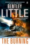 Читать книгу The Burning