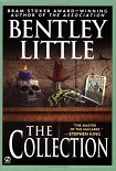 Читать книгу The Collection