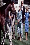 Читать книгу Elizabeth the Queen: The Life of a Modern Monarch