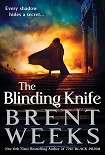 Читать книгу The Blinding Knife