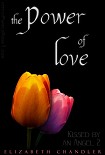 Читать книгу The Power of Love