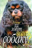 Читать книгу Как зовут вашу собаку