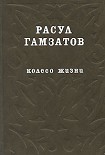 Читать книгу Колесо жизни