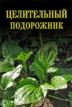 Читать книгу Целительный подорожник