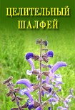 Читать книгу Целительный шалфей