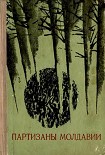 Читать книгу Партизаны Молдавии