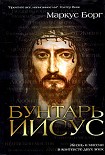 Читать книгу Бунтарь Иисус : Жизнь и миссия в контексте двух эпох