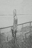 Читать книгу Тигров хватит на каждого