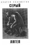 Читать книгу Серый ангел