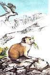 Читать книгу Хозяева каменистых россыпей
