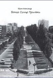 Читать книгу Вечное Солнце Припяти
