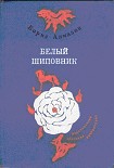 Читать книгу Самый красивый конь (с иллюстрациями)
