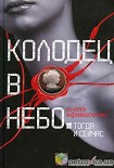 Читать книгу Колодец в небо