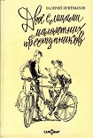 Читать книгу Двое с лицами малолетних преступников