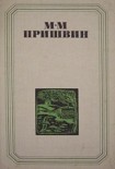 Читать книгу Глаза земли. Корабельная чаща