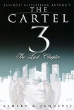 Читать книгу The Last Chapter