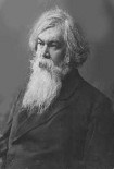 Читать книгу А. П. Чехов