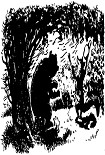 Читать книгу Лиса и медведь