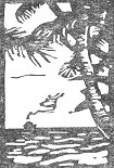 Читать книгу В поисках рая