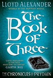 Читать книгу The Book of Three