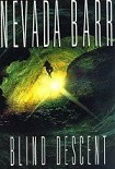 Читать книгу Blind Descent