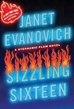 Читать книгу Sizzling Sixteen