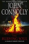 Читать книгу The Burning Soul