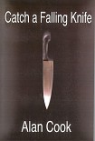 Читать книгу Catch a Falling Knife