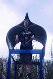 Читать книгу Тинейджерский роман
