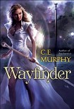 Читать книгу Wayfinder