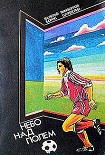 Читать книгу Небо над полем