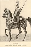 Читать книгу Историческое описание одежды и вооружения российских войск. Том 21