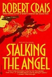 Читать книгу Stalking The Angel