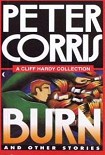 Читать книгу Burn and Other Stories