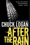 Читать книгу After the Rain