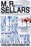 Читать книгу In the bleak midwinter