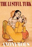 Читать книгу The lustful turk