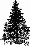 Читать книгу Лесная сказка