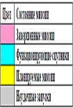 Читать книгу Израиль в космосе. Двадцатилетний опыт (1988-2008)