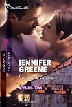 Читать книгу Irresistible Stranger
