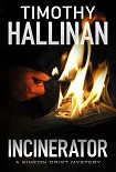 Читать книгу Incinerator