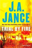 Читать книгу Trial By Fire