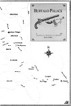 Читать книгу Buffalo Palace
