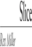 Читать книгу Slice