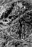 Читать книгу The Day We Lost the H-Bomb: Cold War, Hot Nukes, and the Worst Nuclear Weapons Disaster in History