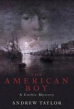 Читать книгу The American Boy