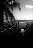 Читать книгу Loitering with Intent